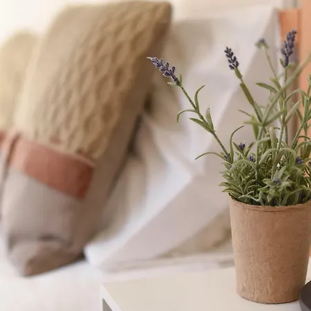 Apartamento Charming - Center